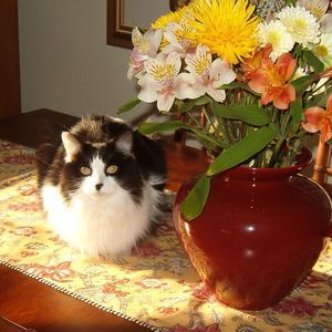 Meet your Posher, Barbara